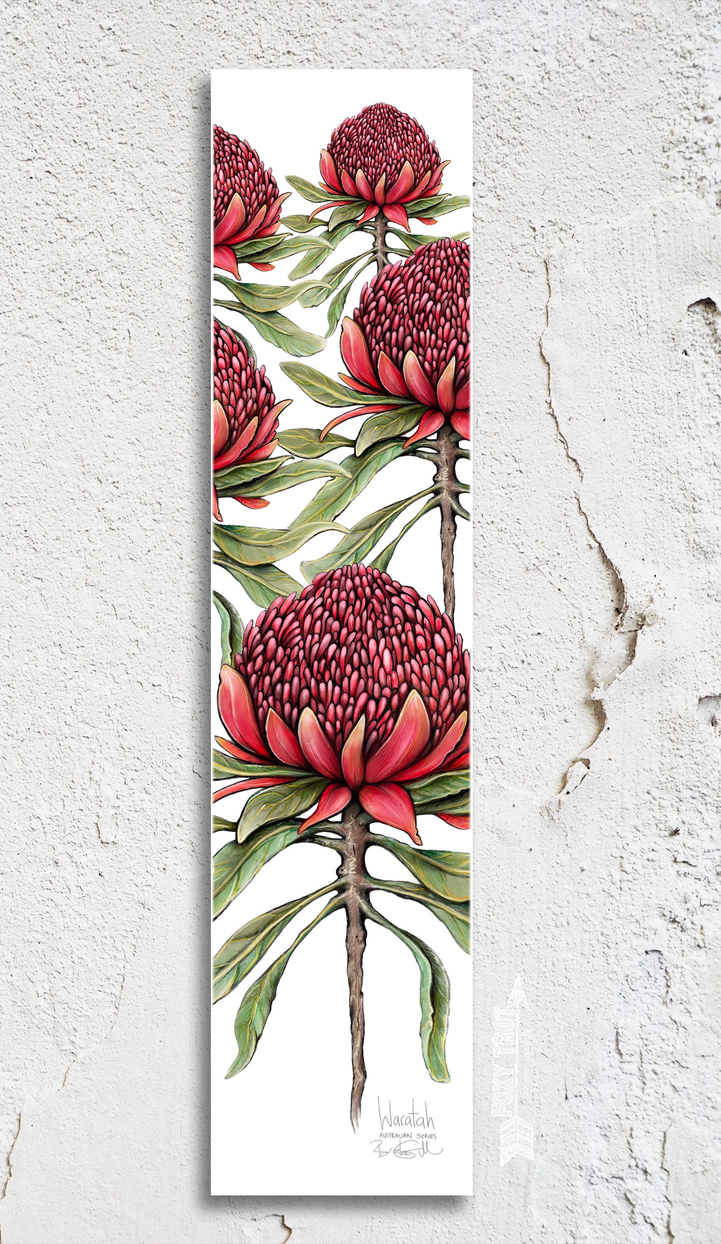 Waratah Bookmark