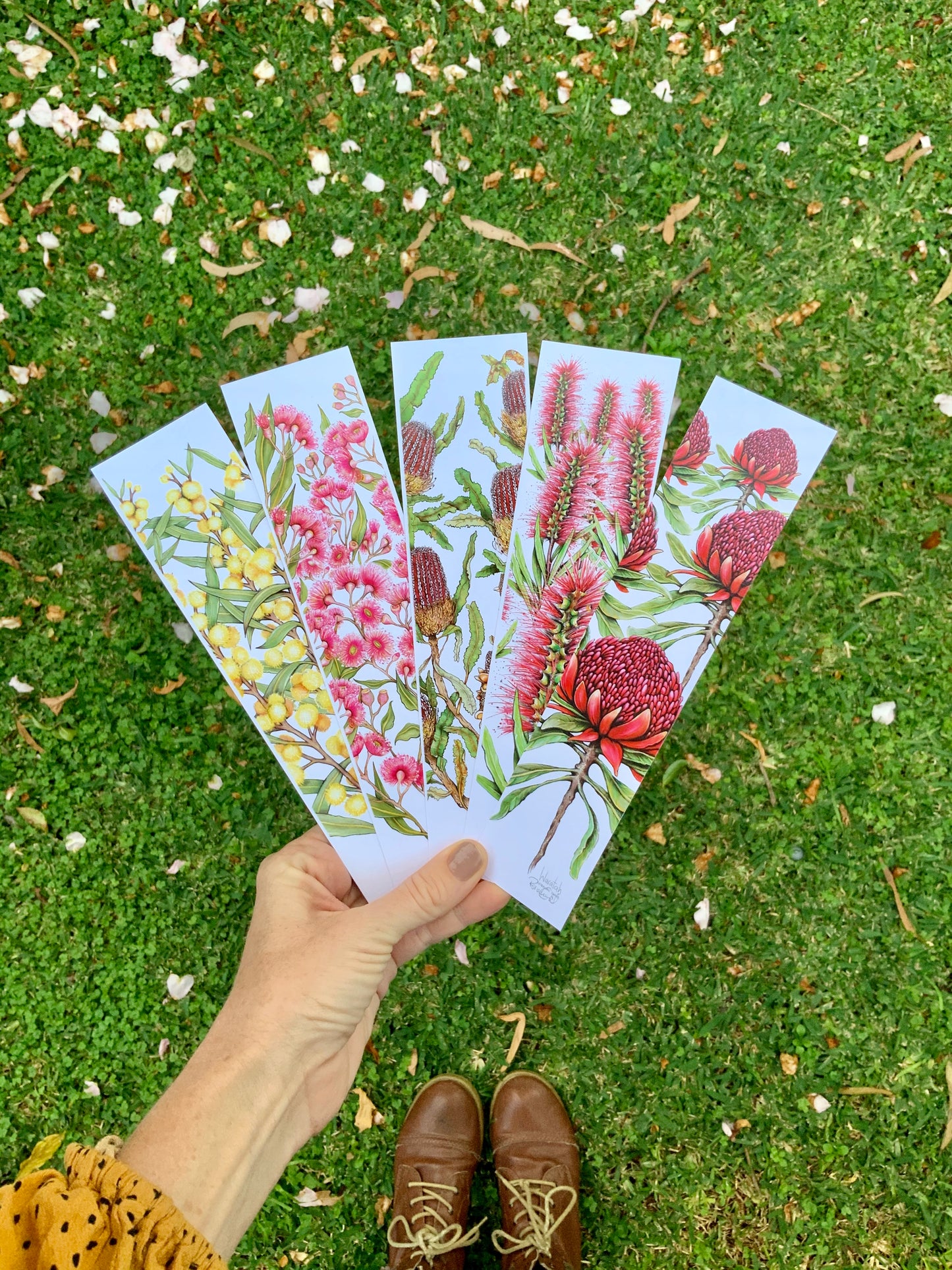 Waratah Bookmark