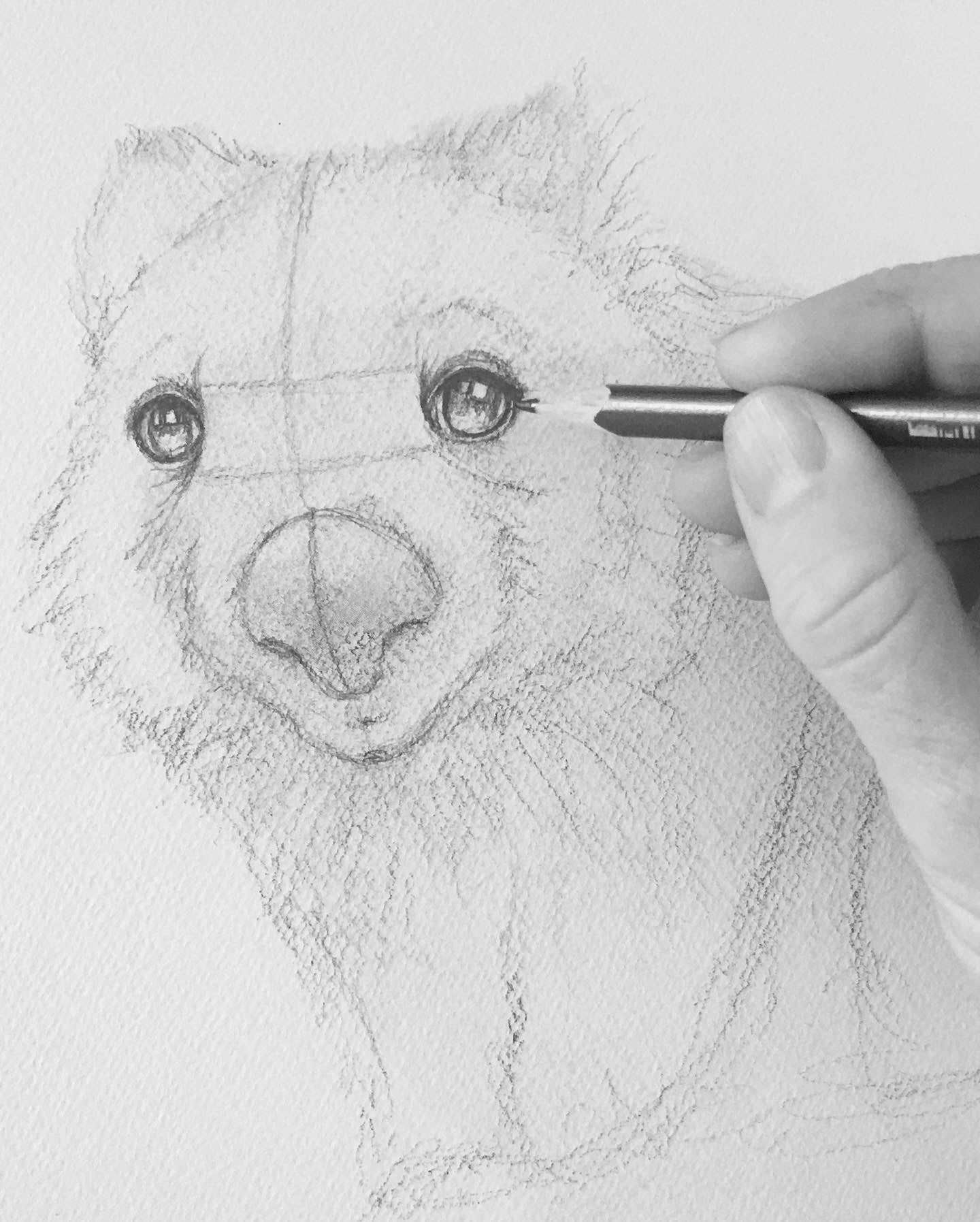 Wombat