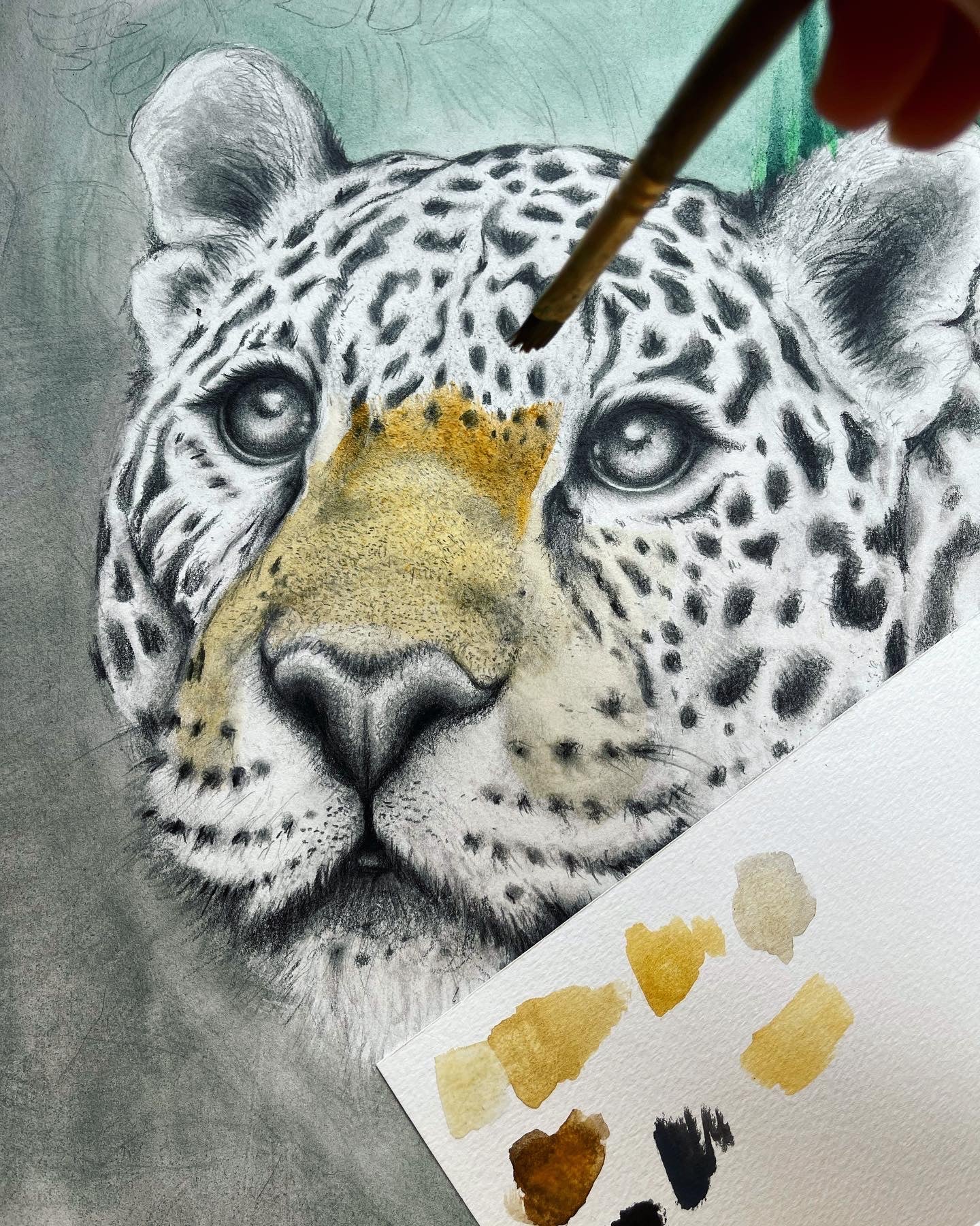 Majestic Jaguar