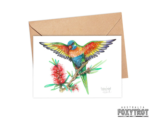 Rainbow Lorikeet Card