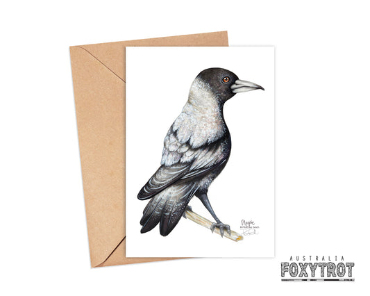 Magpie Card