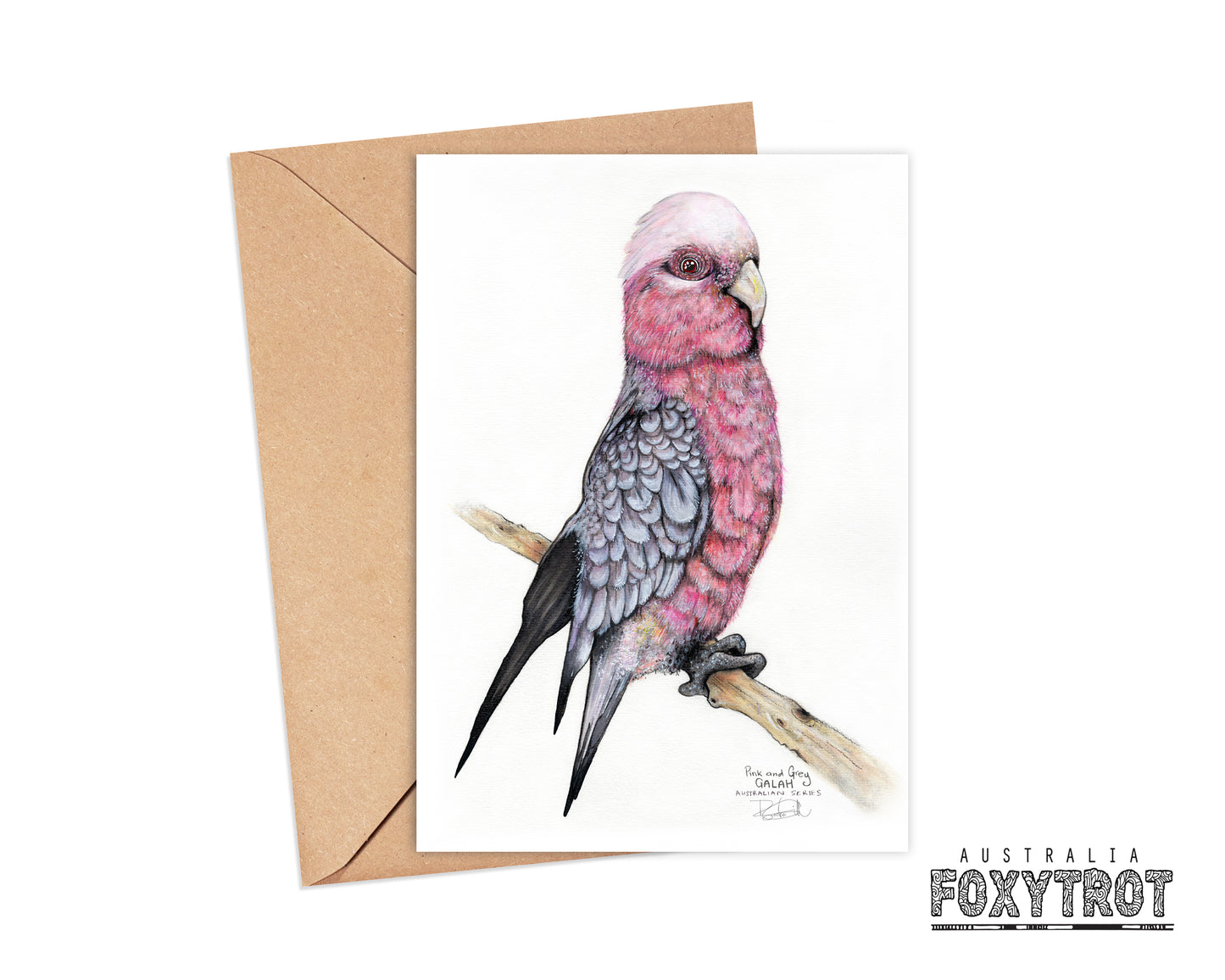 Percy the Galah Card