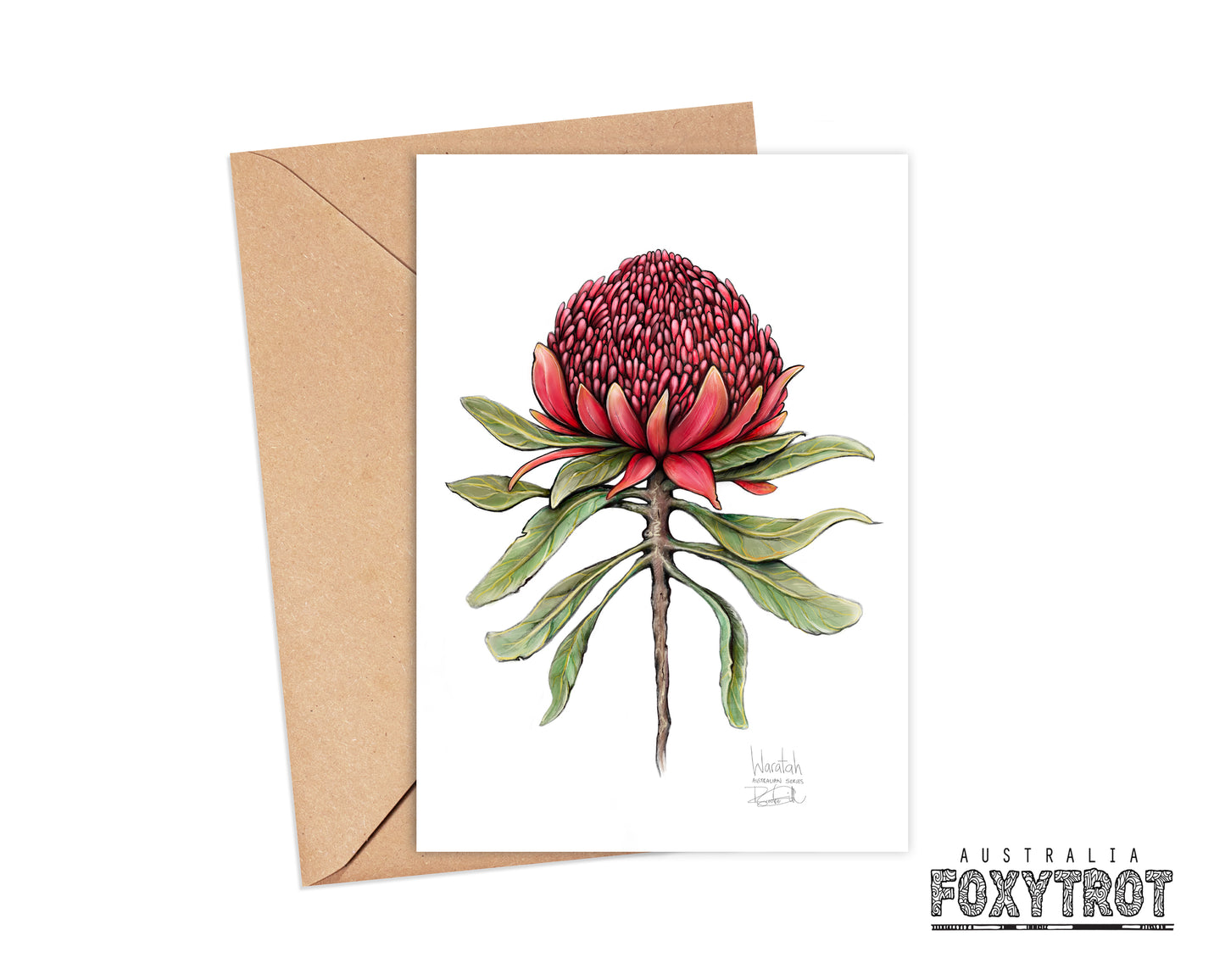Waratah Card