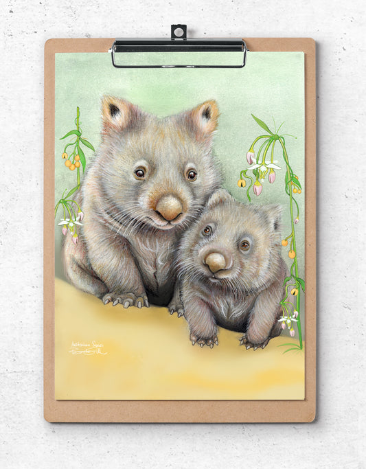 Bare Nosed Wombats