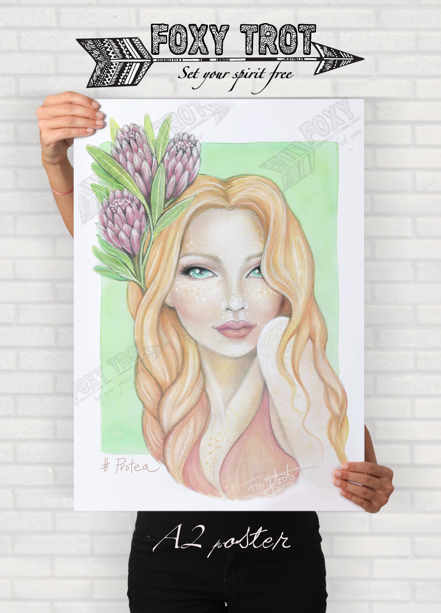 Floral Series - Protea