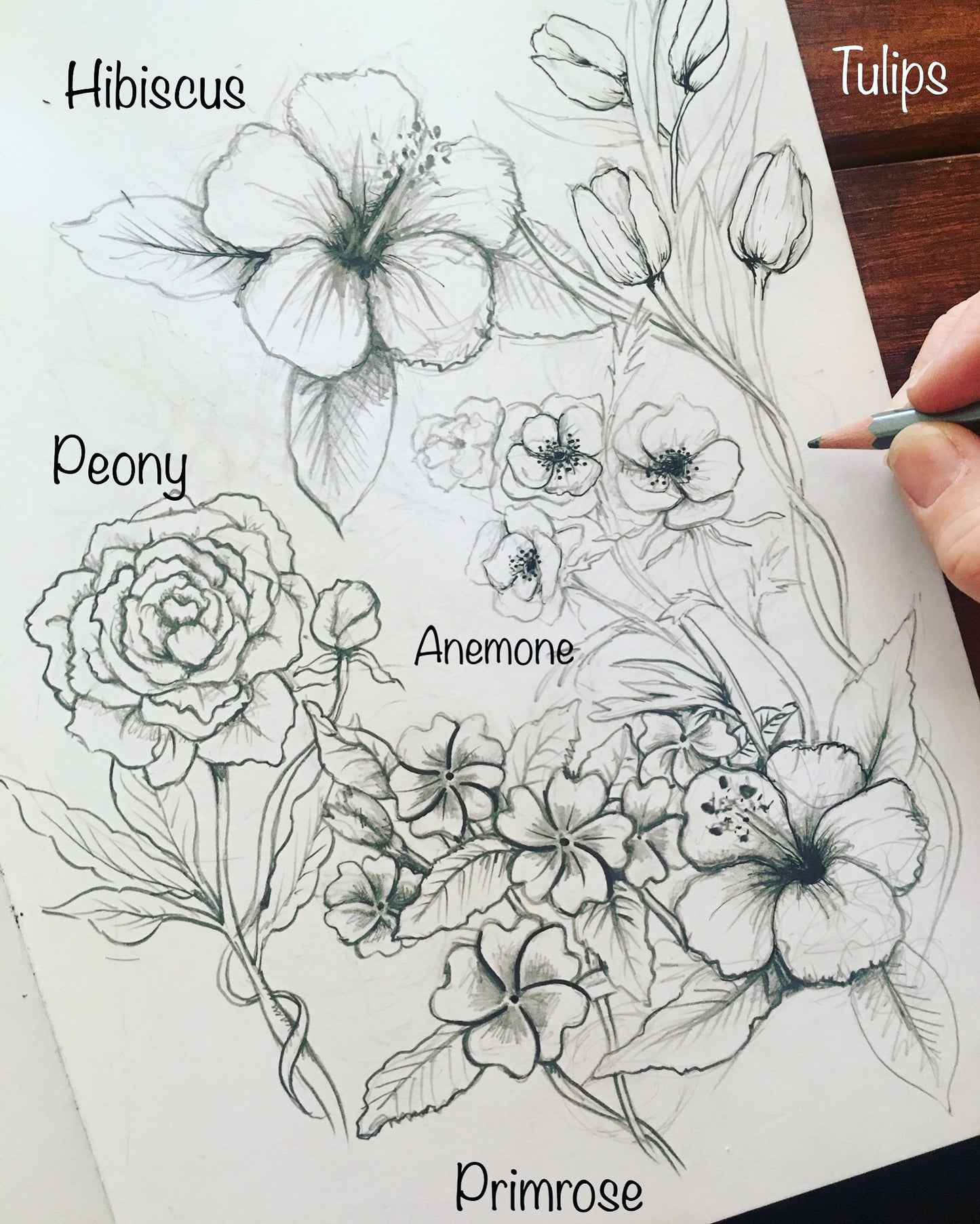 Botanicals