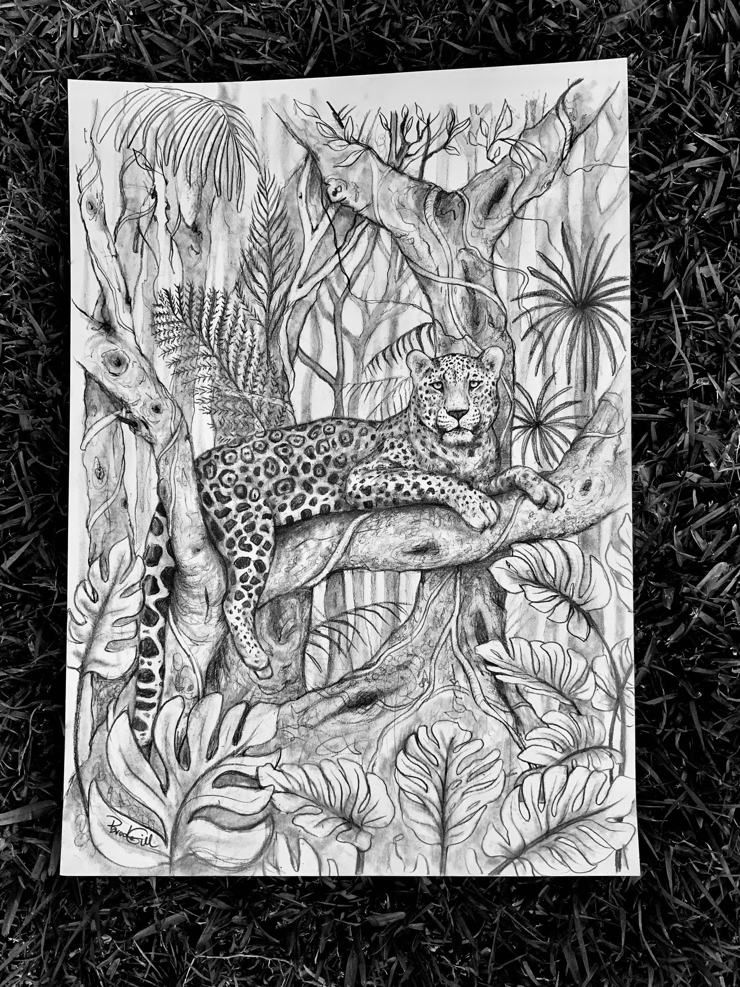 Jungle Jaguar