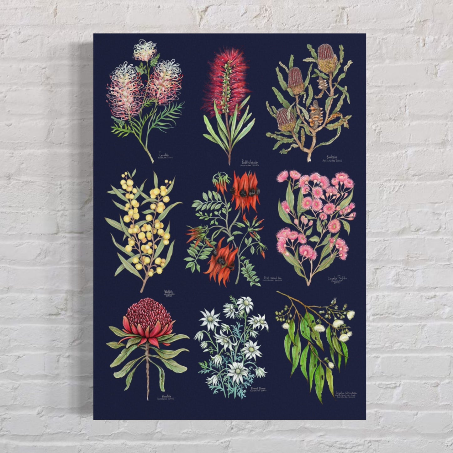 Australian Botanics