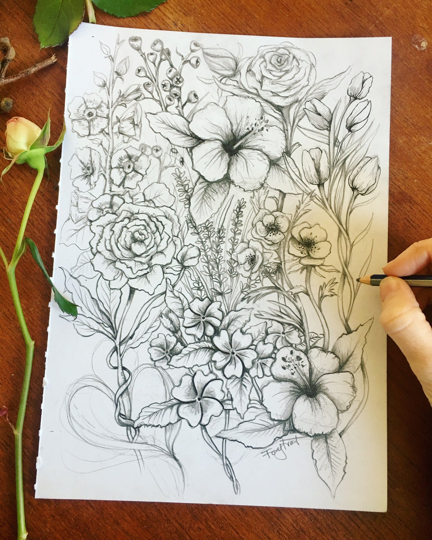 Botanicals