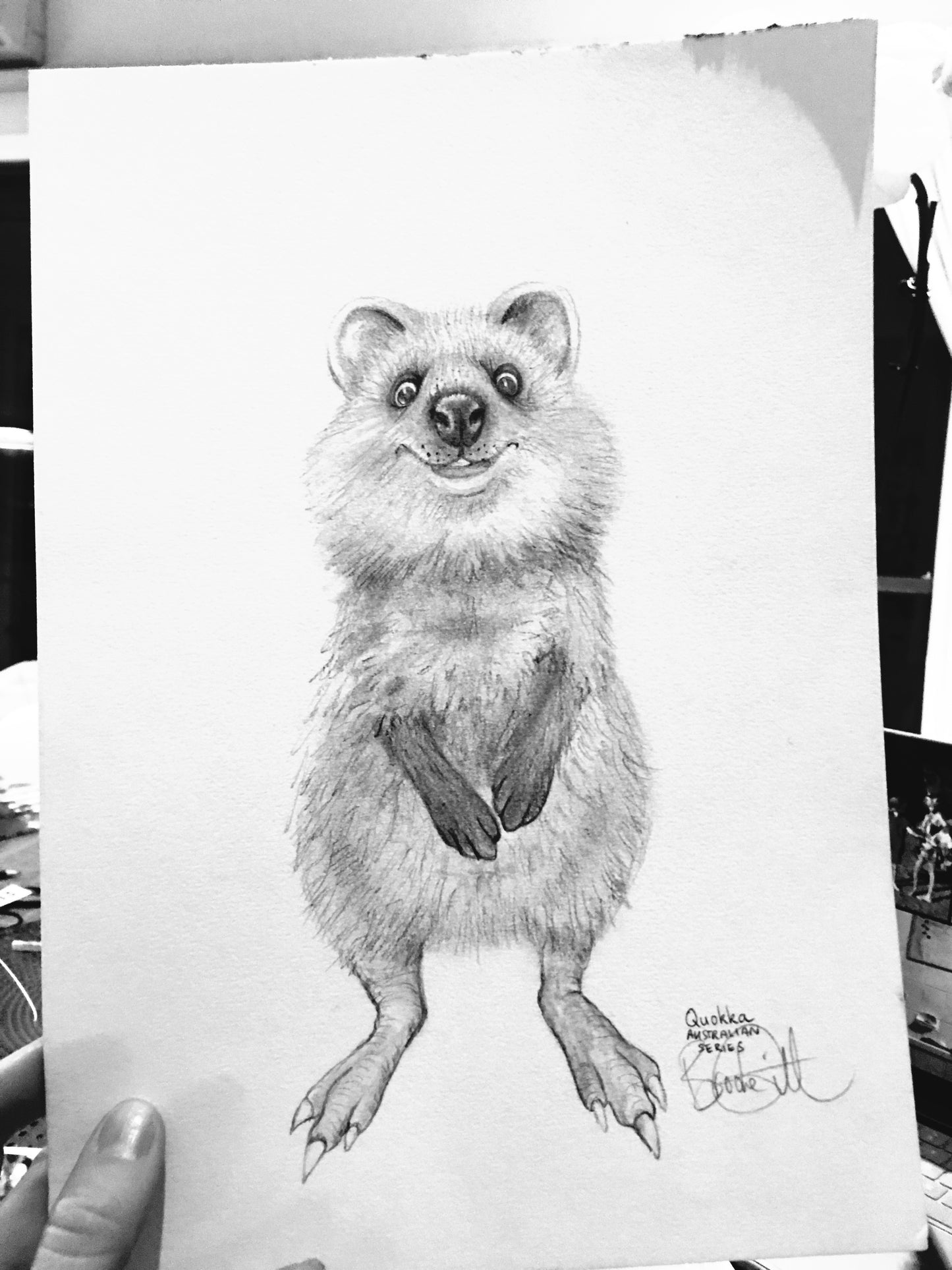 Quokka