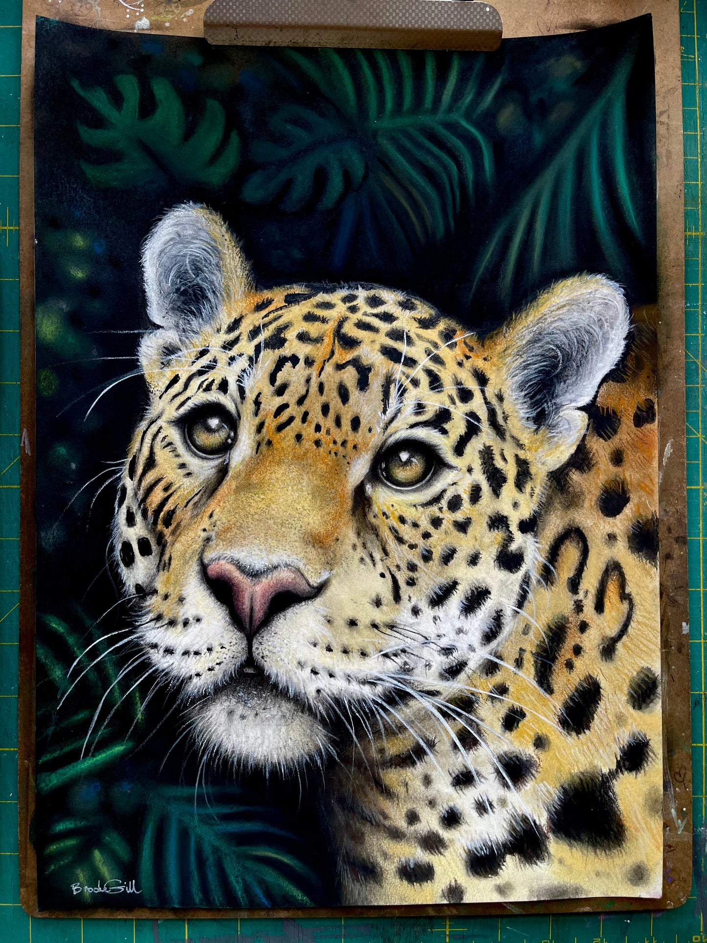Majestic Jaguar