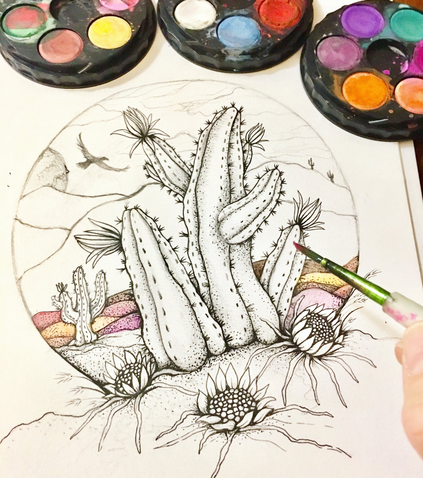 Cactus
