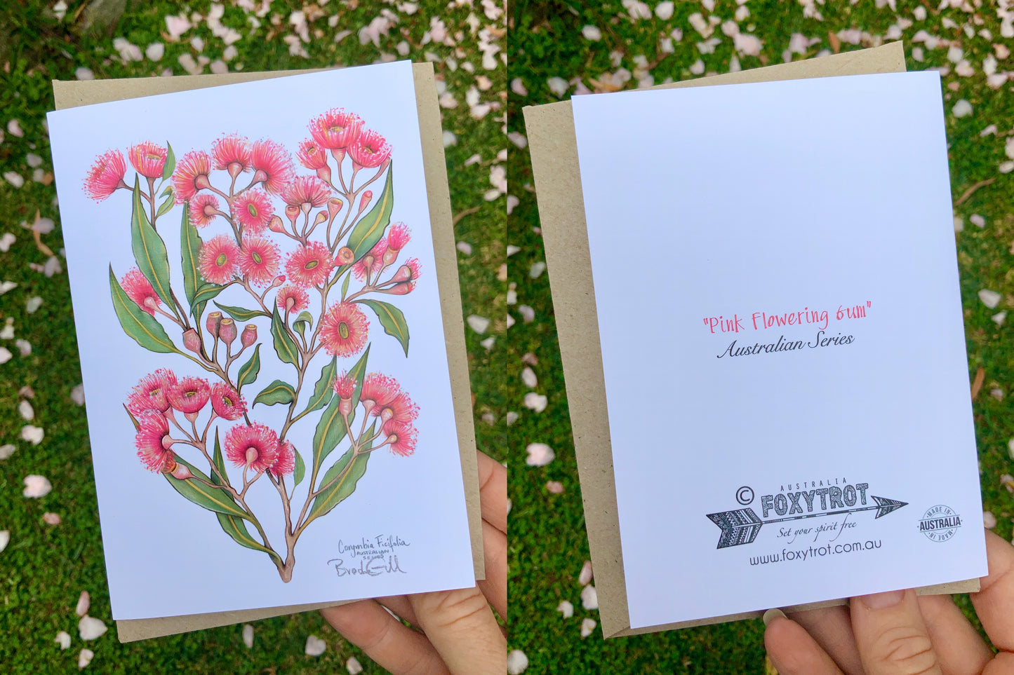 Pink Flowering Gum Card