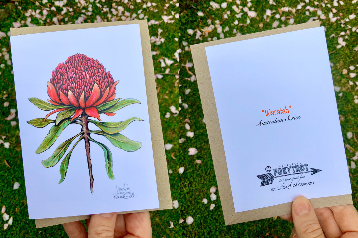 Waratah Card