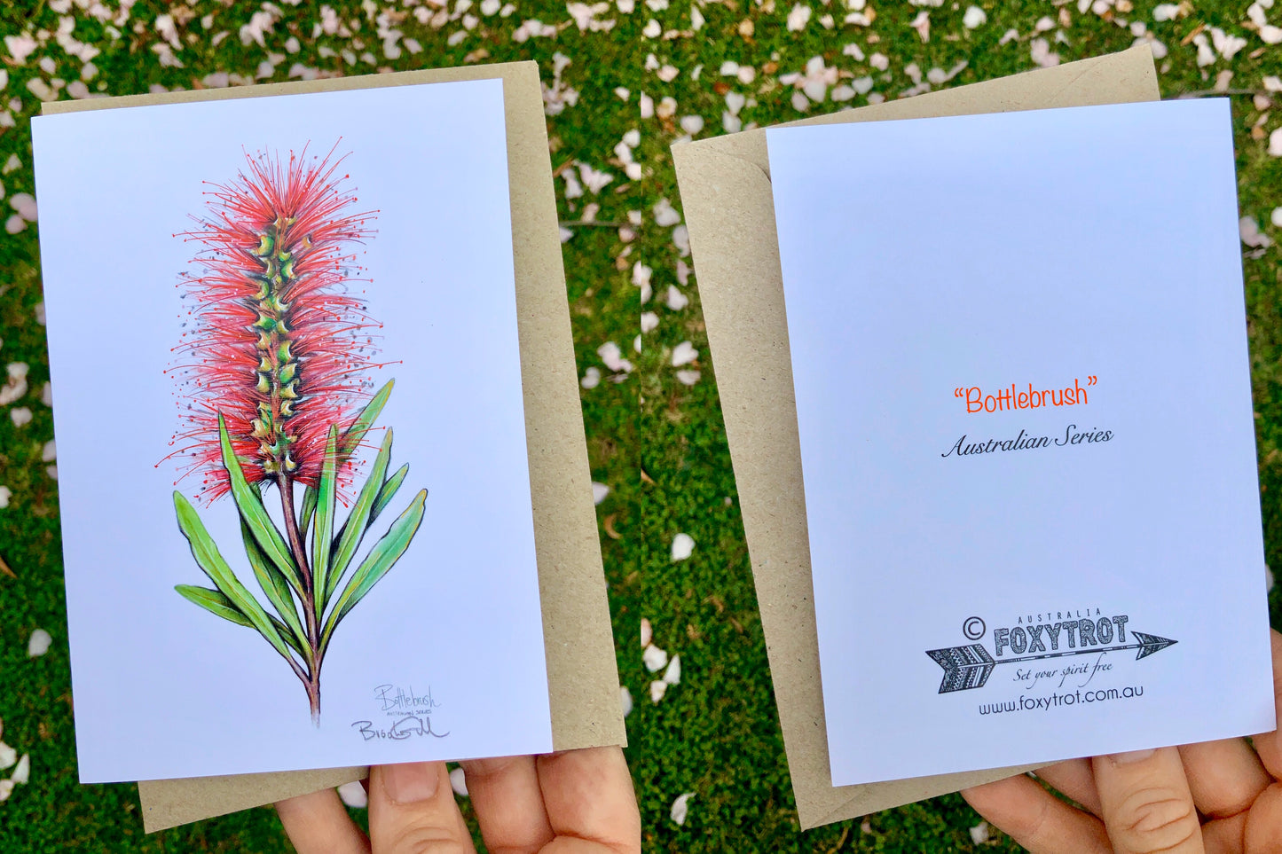 Bottlebrush Card