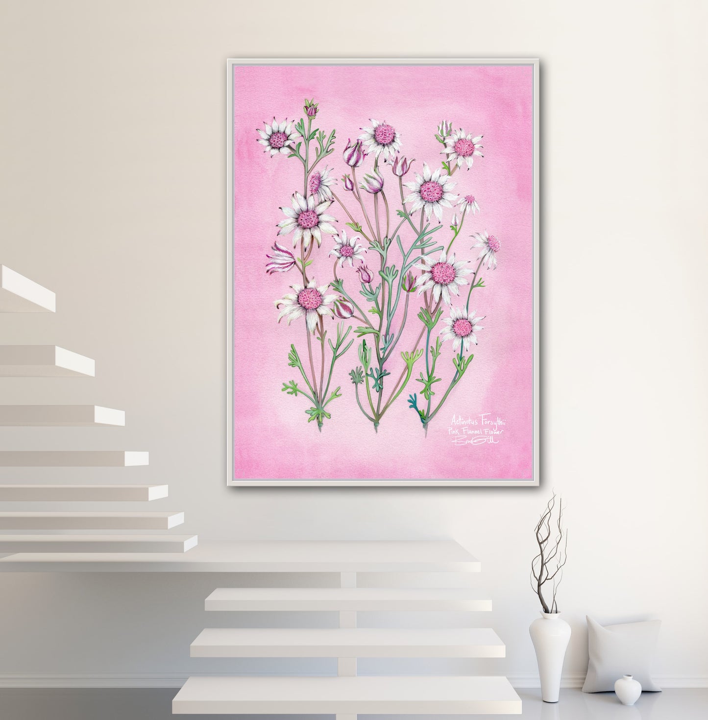 Pink Flannel Flower