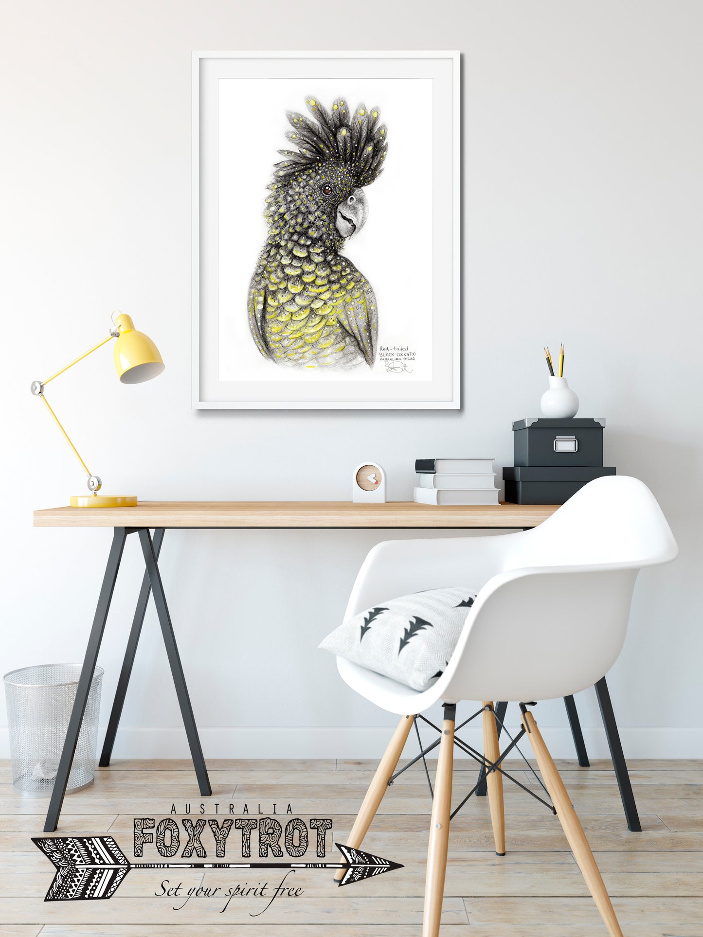 Red Tailed Black Cockatoo