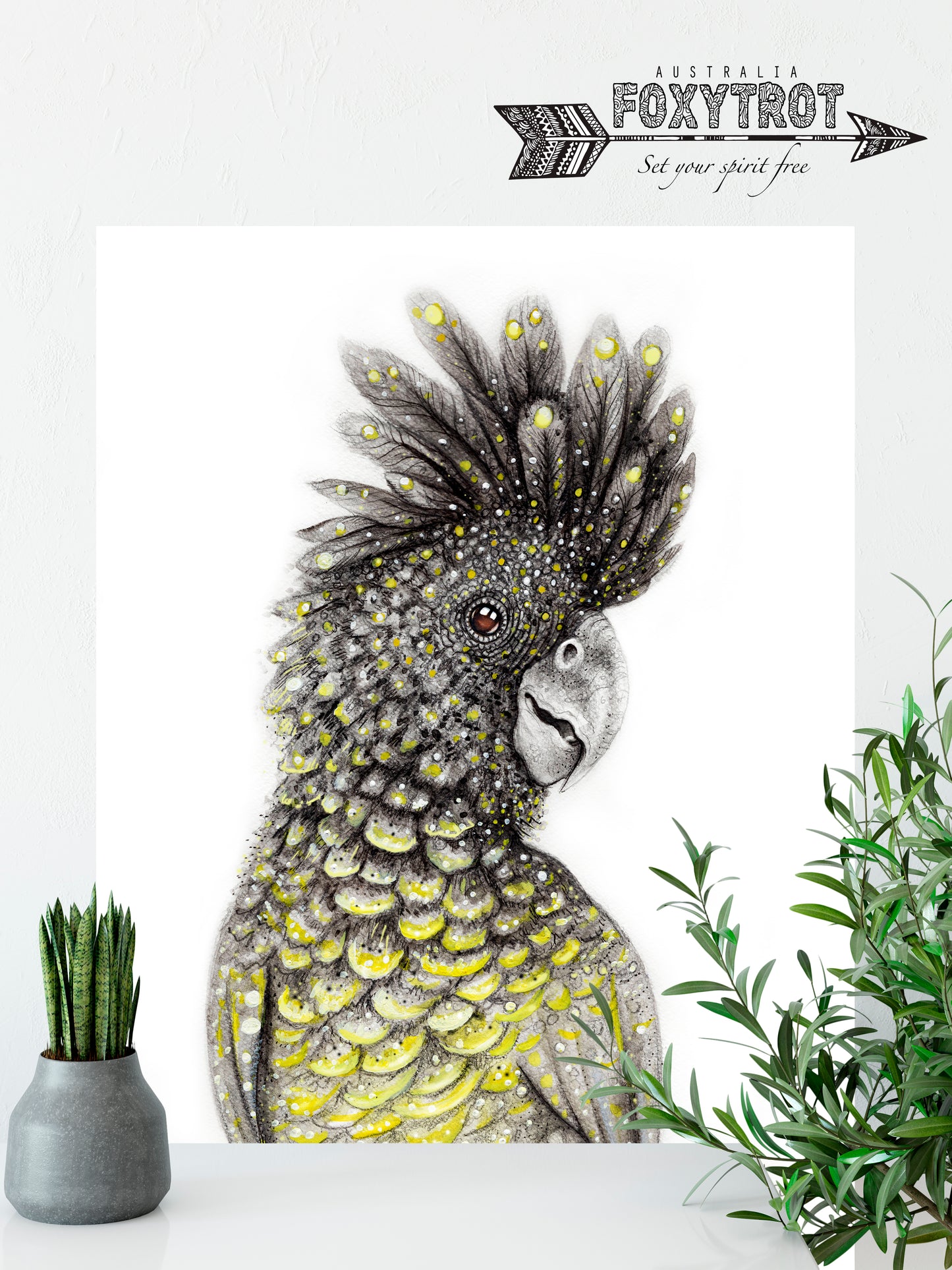 Red Tailed Black Cockatoo
