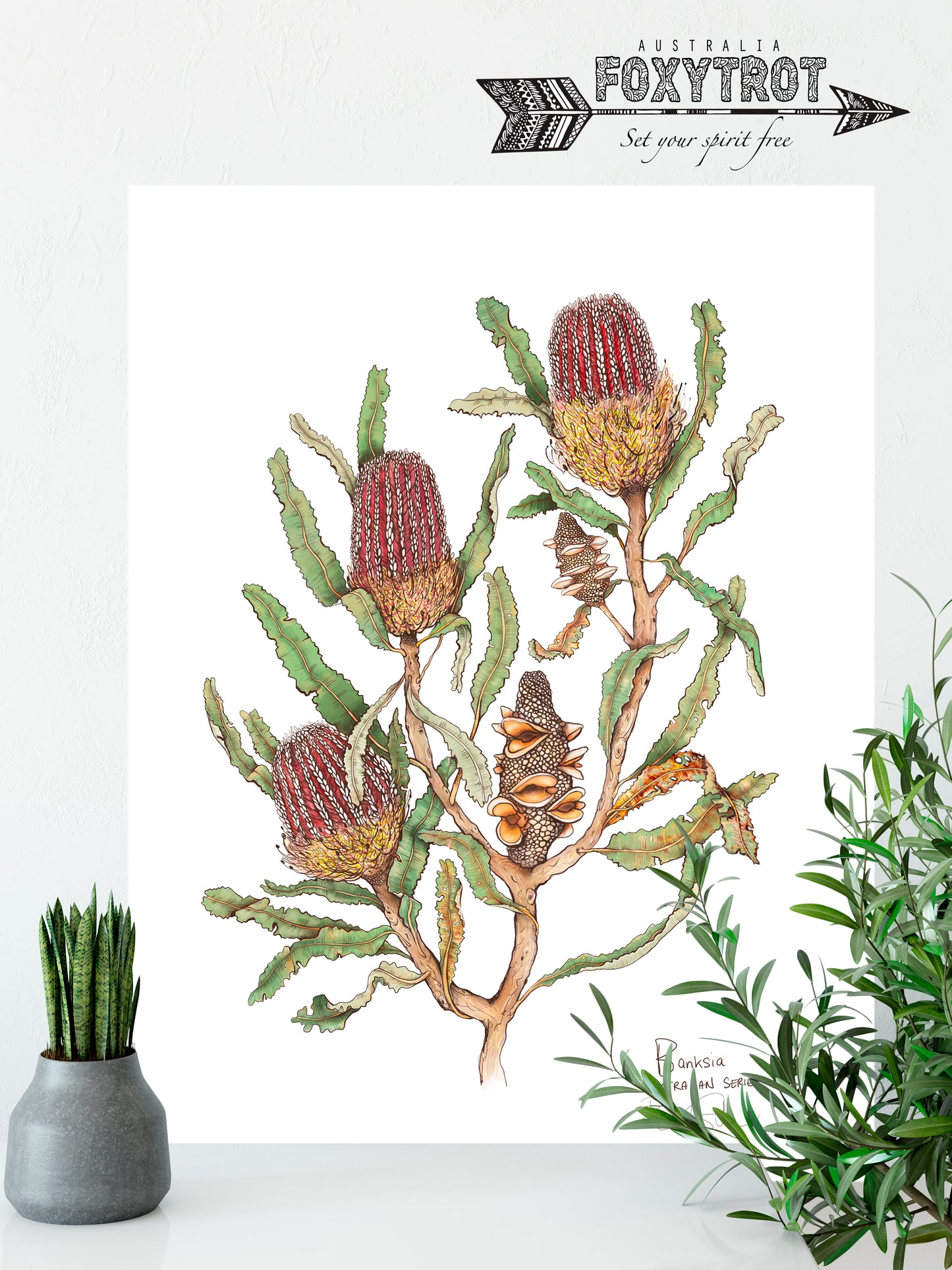 Banksia