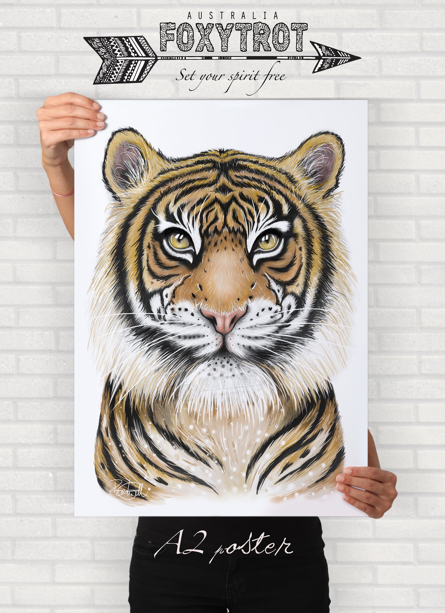 Sanjay the Bengal Tiger