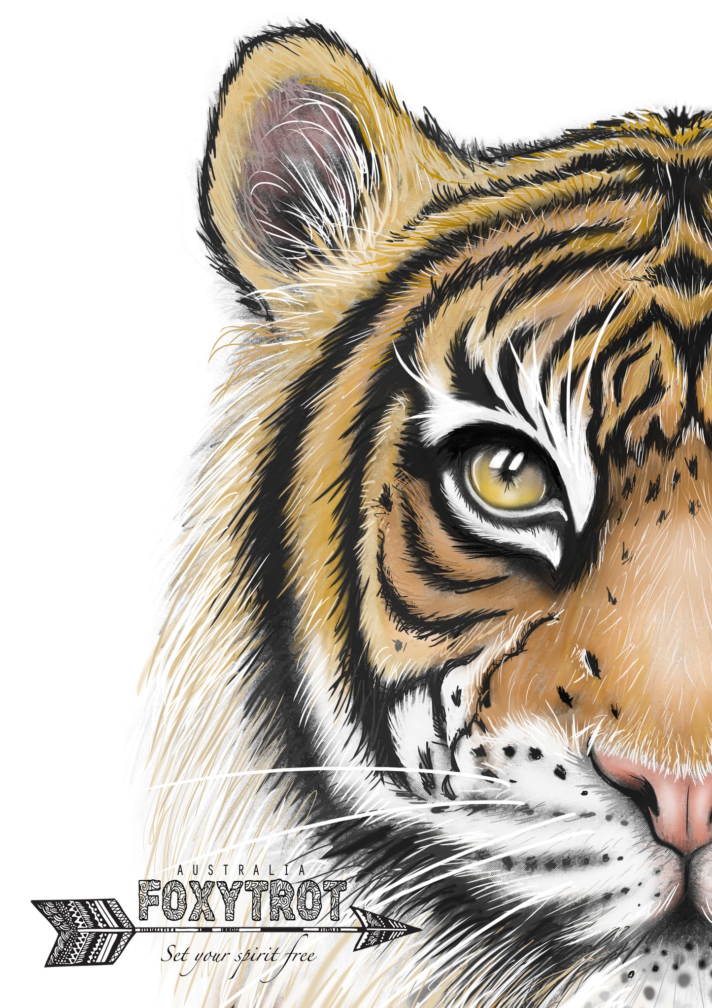 Sanjay the Bengal Tiger