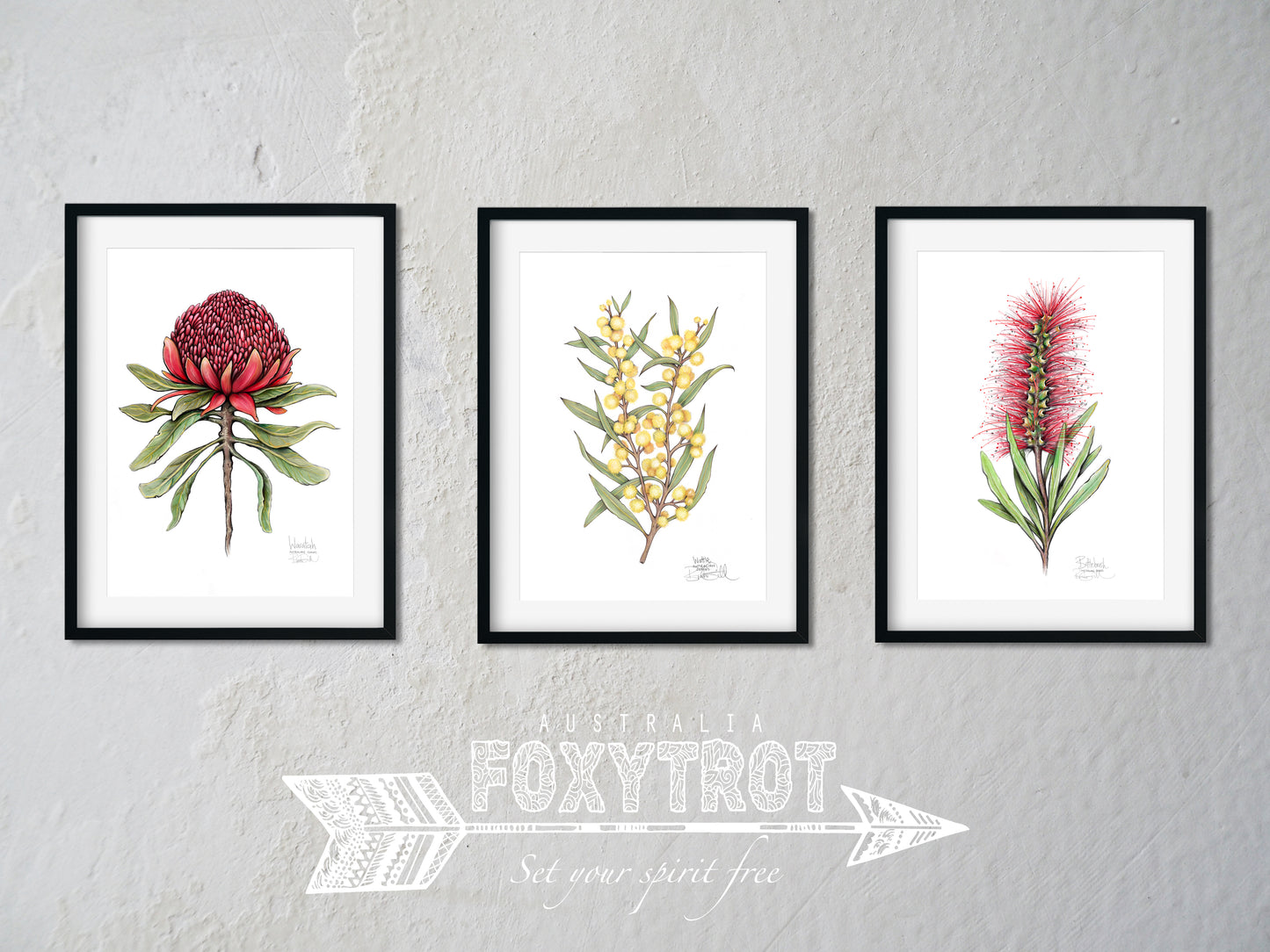 Waratah