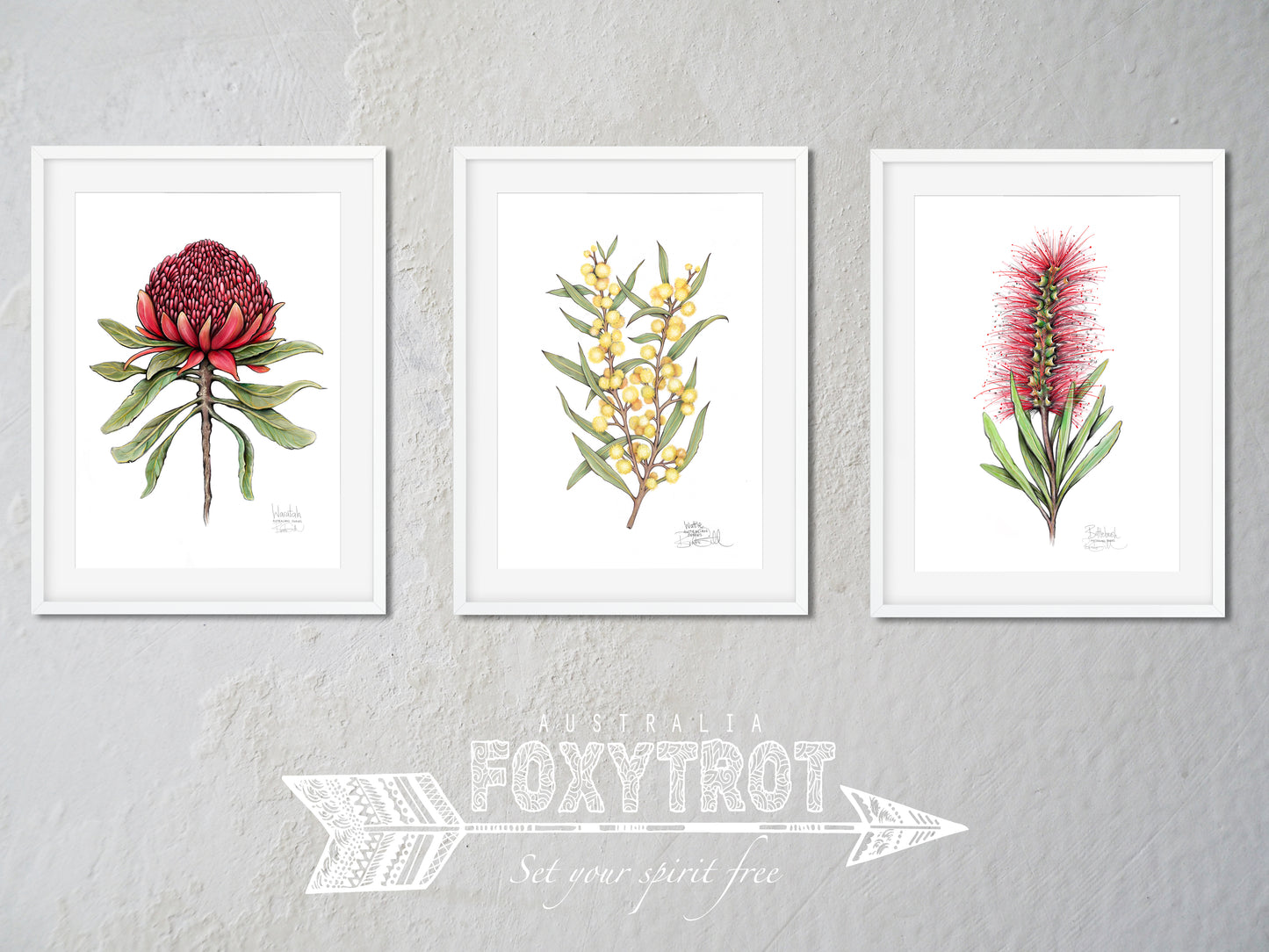 Waratah