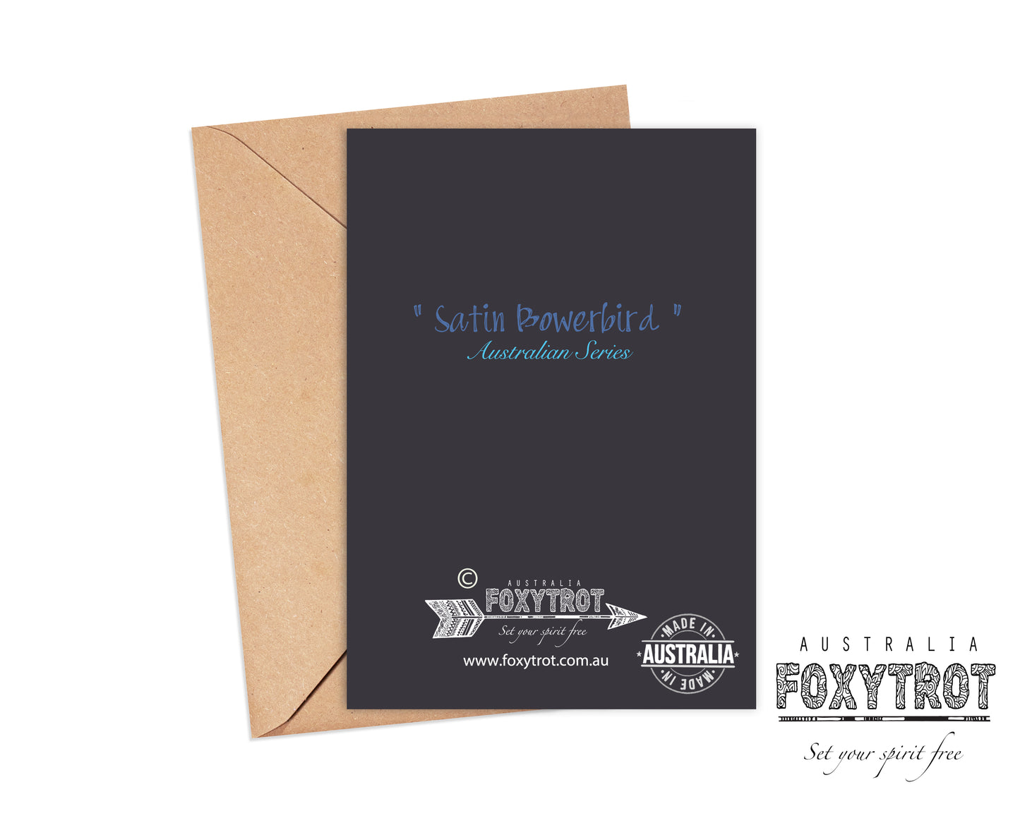 Satin Bowerbird Card