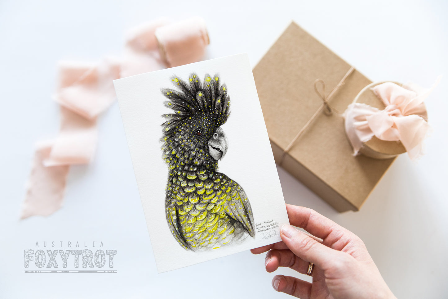 Red Tailed Black Cockatoo Card