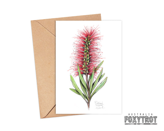 Bottlebrush Card