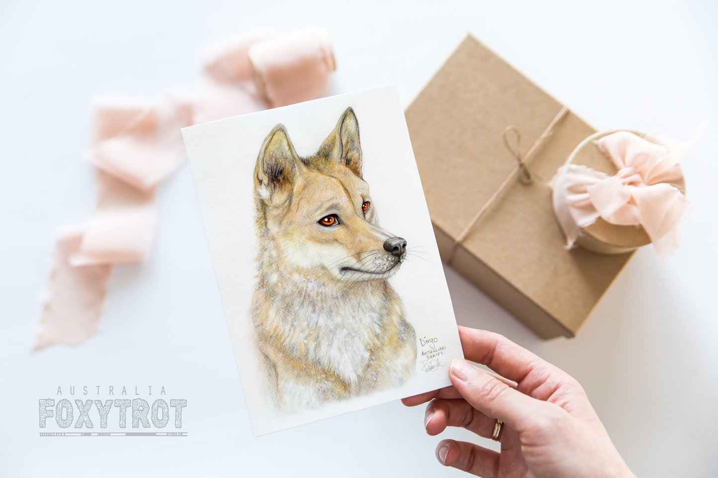 Dingo Card