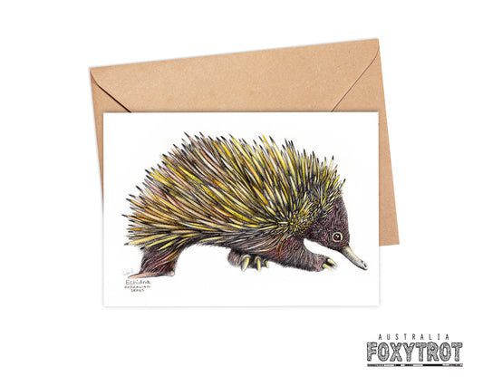 Echidna Card