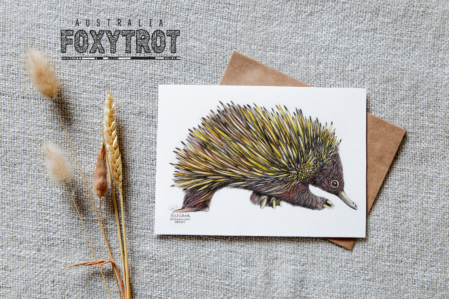 Echidna Card