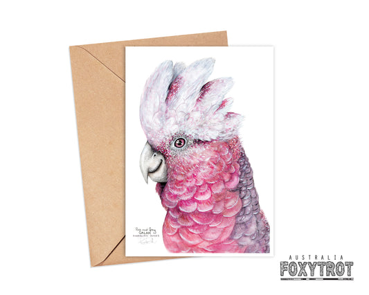 Flamin' Galah Card