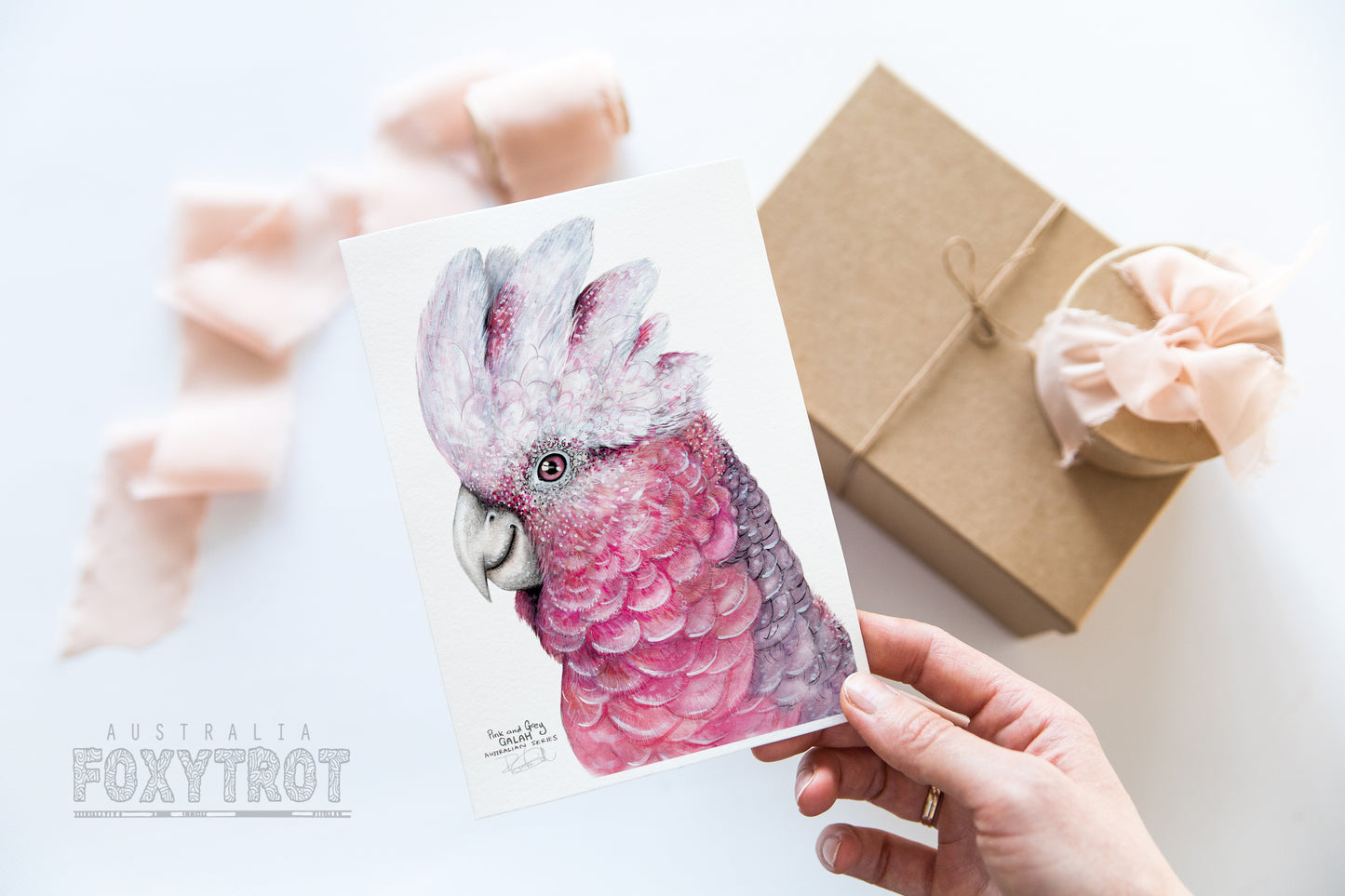 Flamin' Galah Card