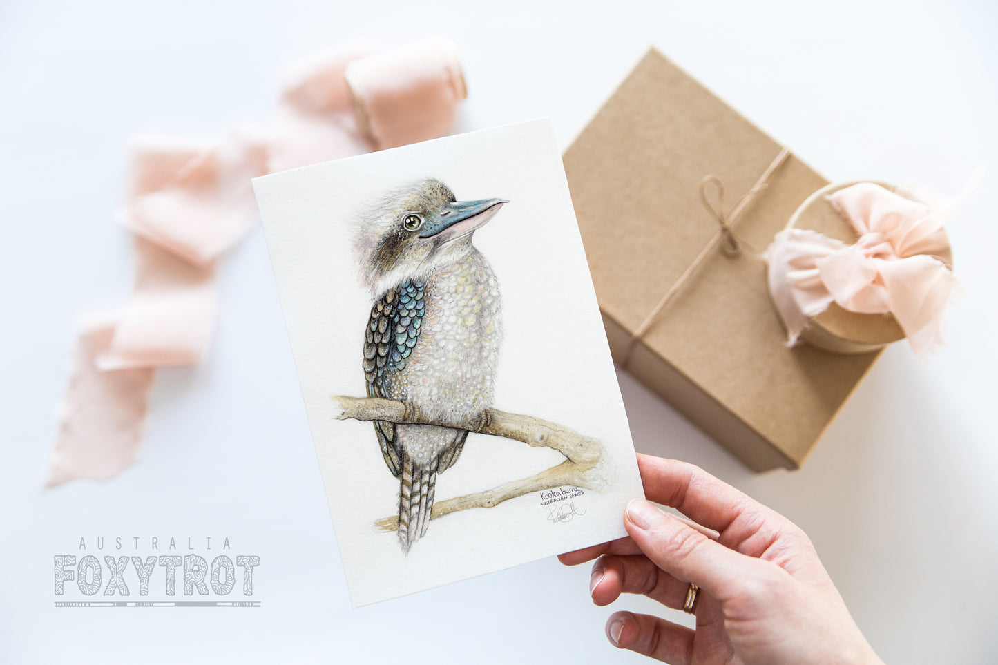 Kookaburra Card