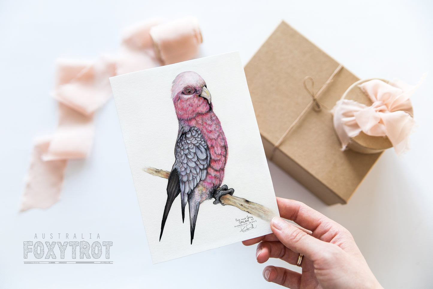 Percy the Galah Card