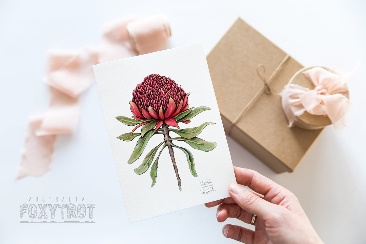 Waratah Card