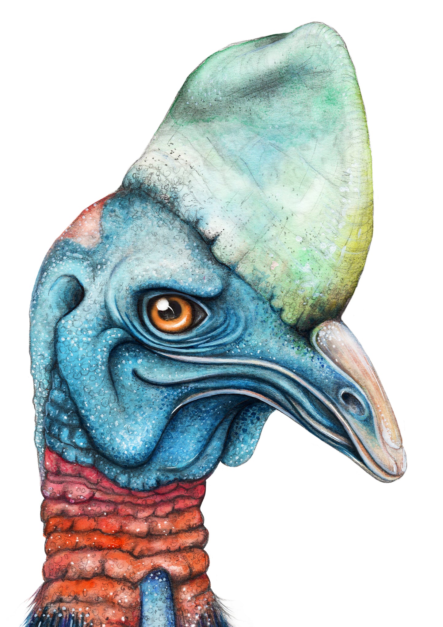 Cassowary