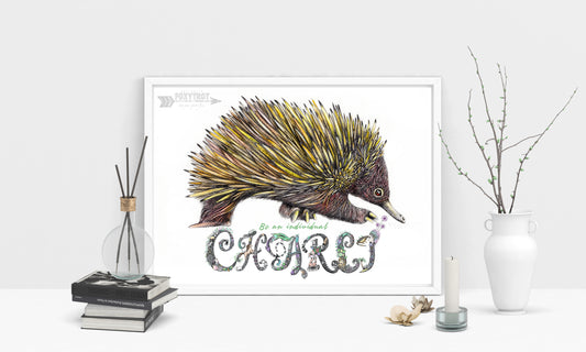 Custom Name Sample - ECHIDNA