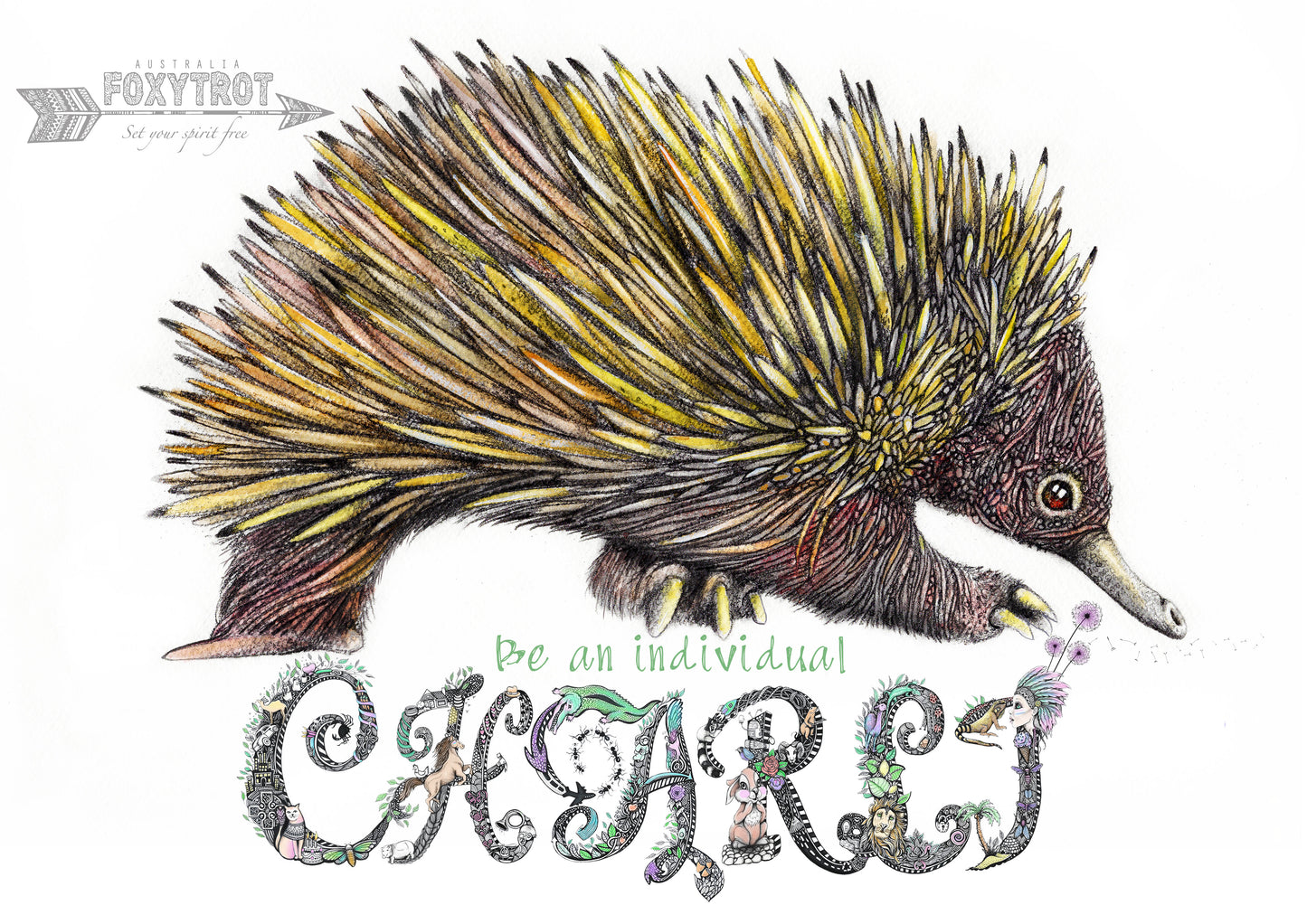 Custom Name Sample - ECHIDNA