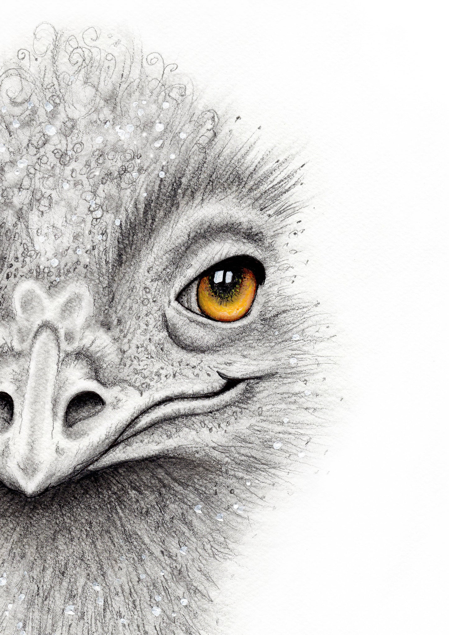 Emu