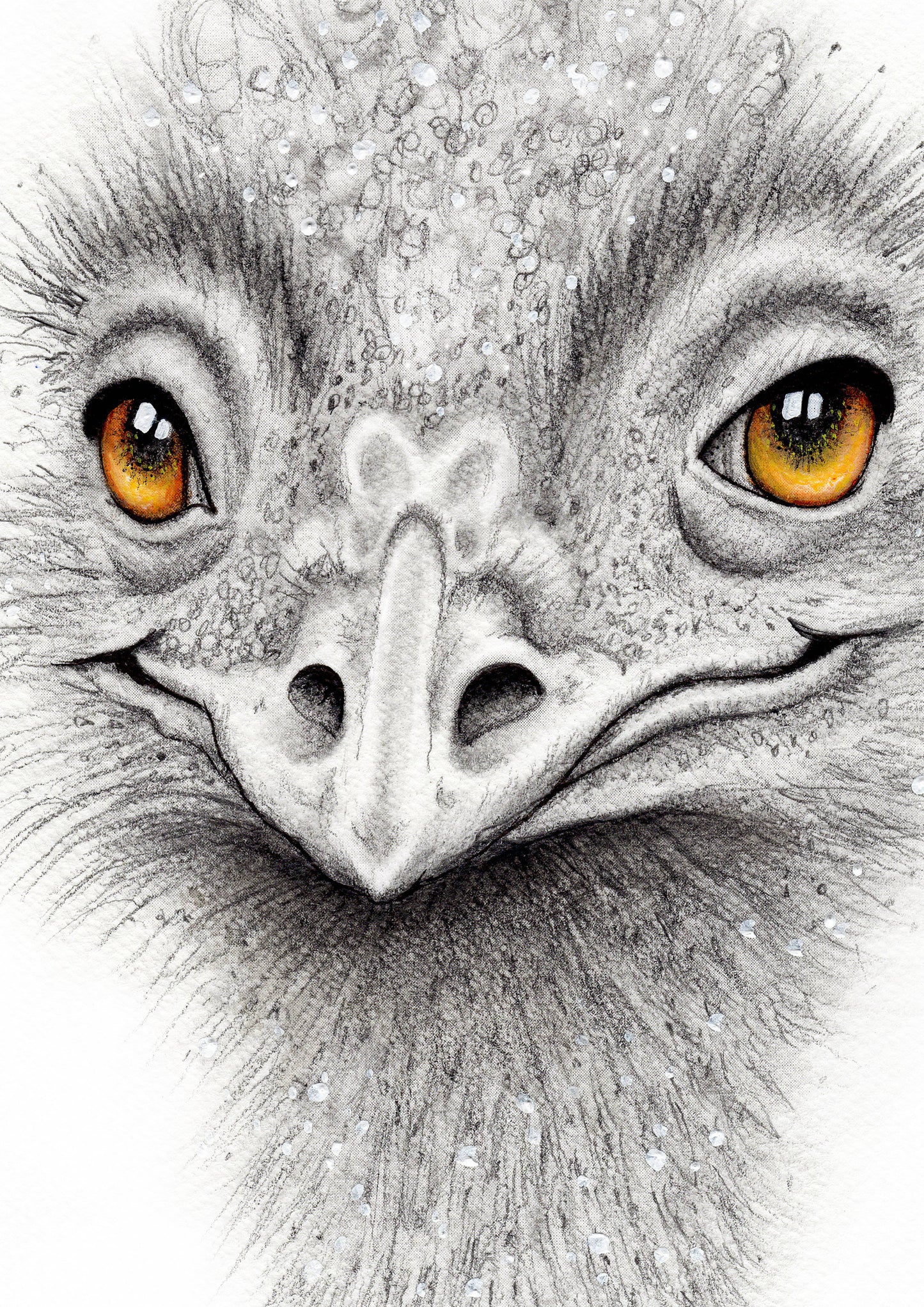 Emu