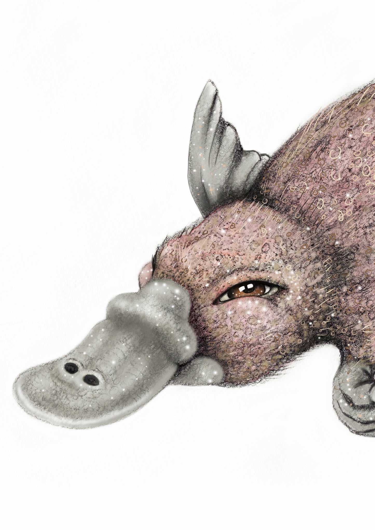Platypus