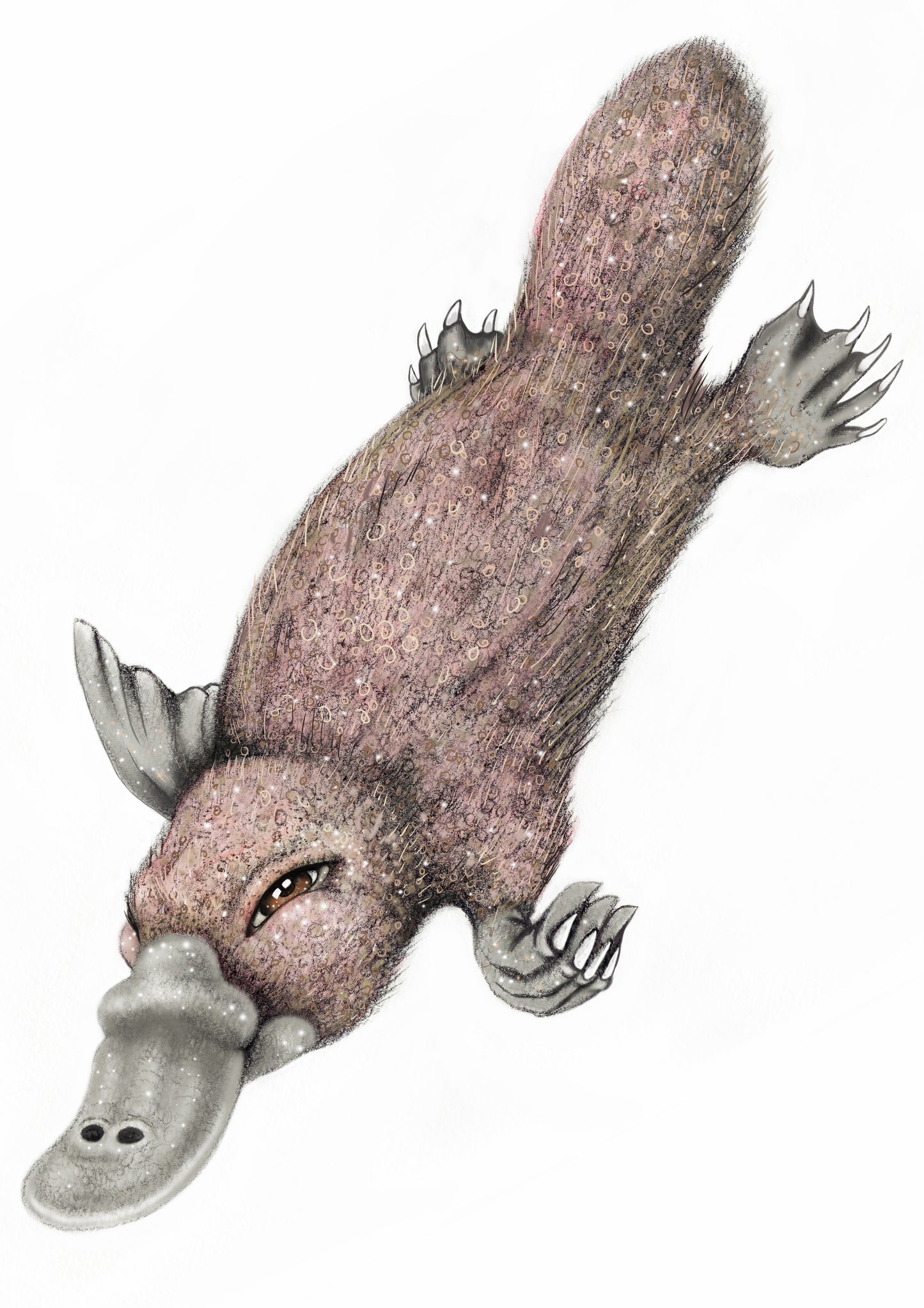Platypus