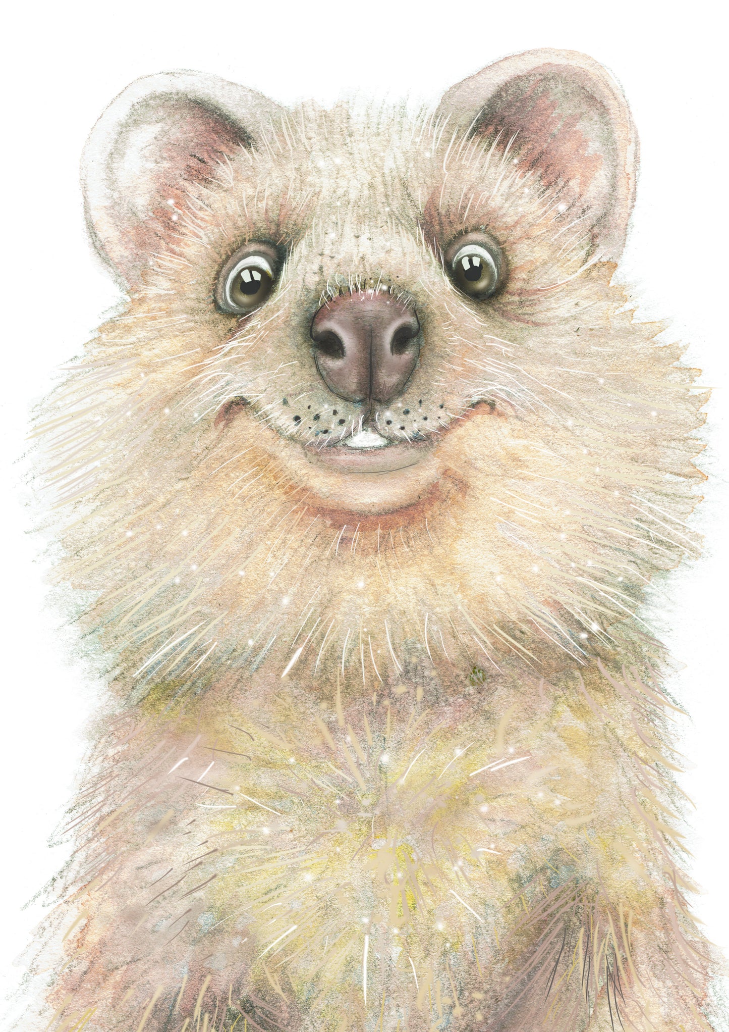 Quokka