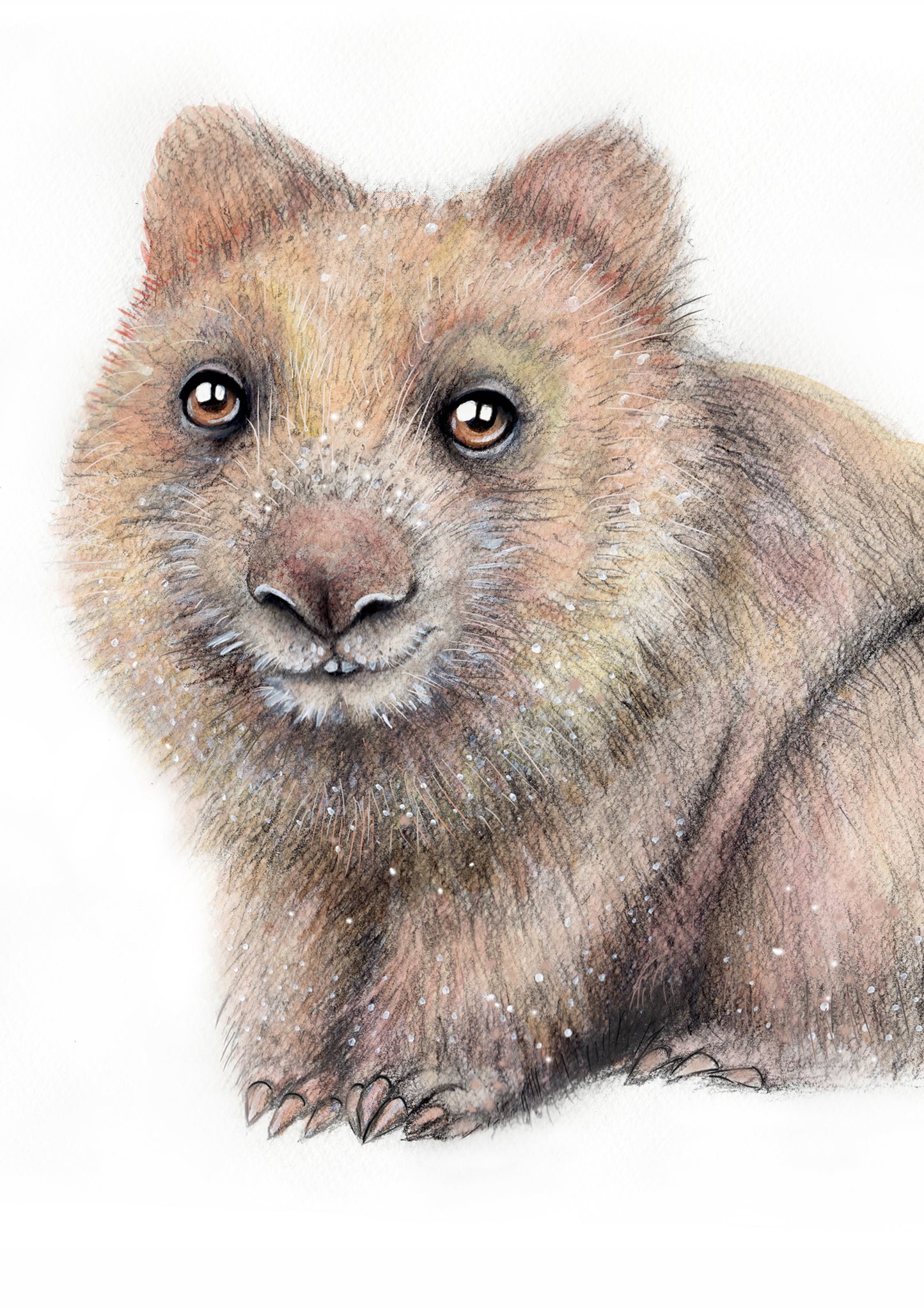 Wombat