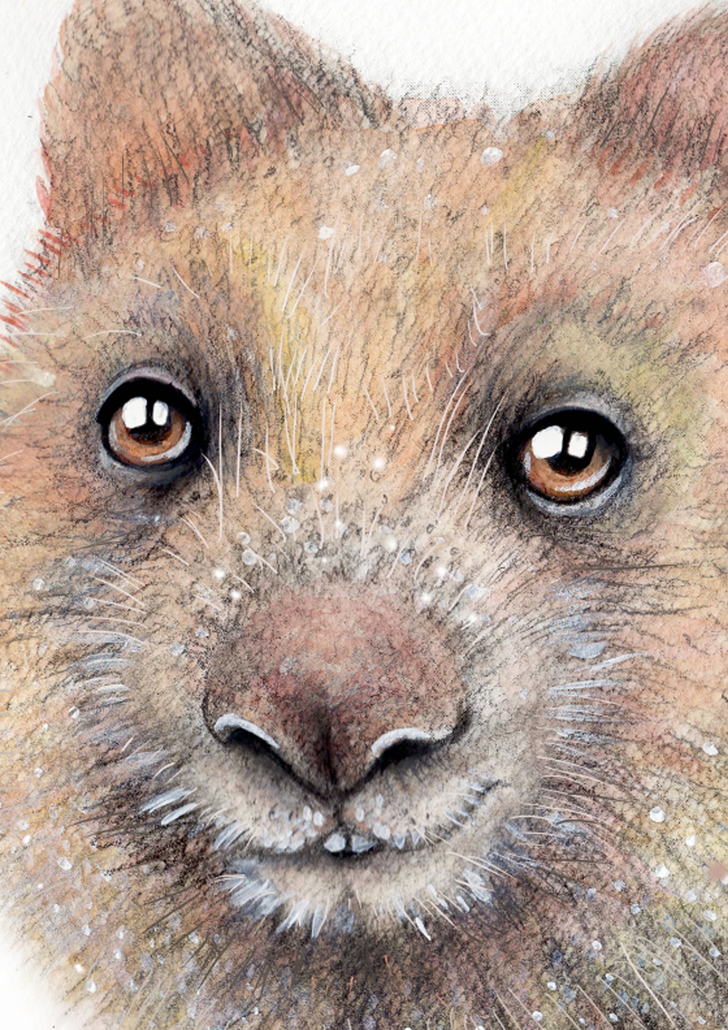 Wombat