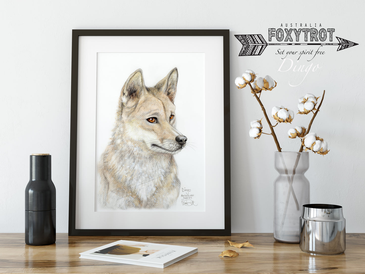 Dingo